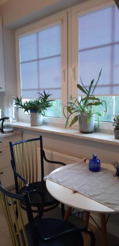 WEEKEND 88m BIG APARTAMENT Numer 1 LUBLIN dobry standard blisko centrum - poczuj sie jak w domu i przedłuż bezpośrednio rezerwację by zostać u nas na dłużej bez opłat za strefę parkowania