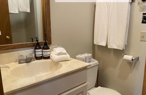 Bilik mandi di Gunflint Lodge