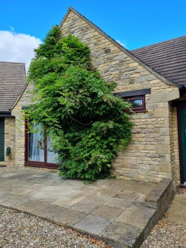 a large bush is growing on the side of a house at A quiet gem just outside Oundle in Oundle