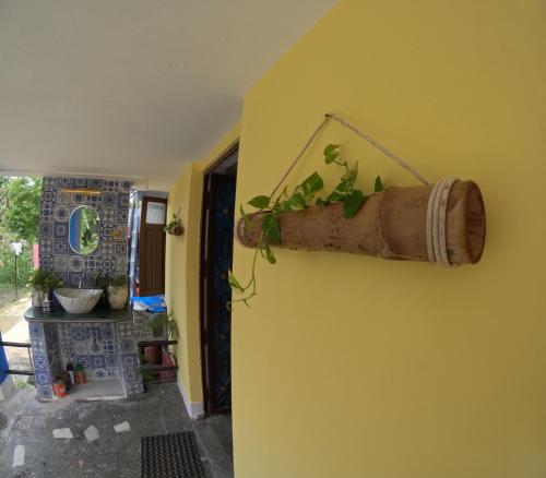 a pot hanging on a wall with a plant at Bagicha farmstay - Near Jolly Grant Airport in Doiwāla