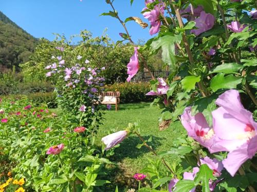 a garden of flowers with a chair in the background at Hotel Finca Malvasia - Adults only in Cabezón de Liébana