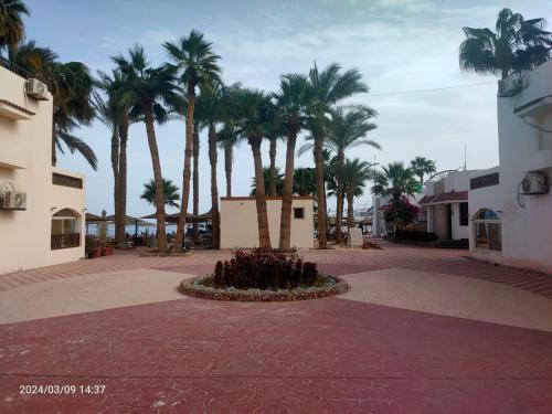 Paisaje cerca de este hotel