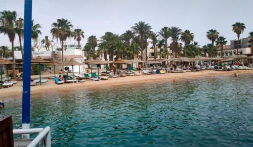 Una vista de una playa con palmeras y sombrillas. en Elixir, en Hurghada