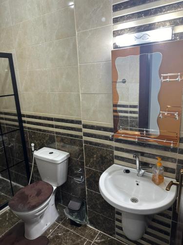 a bathroom with a toilet and a sink at Airport Road شارع المطار in Al Yādūdah