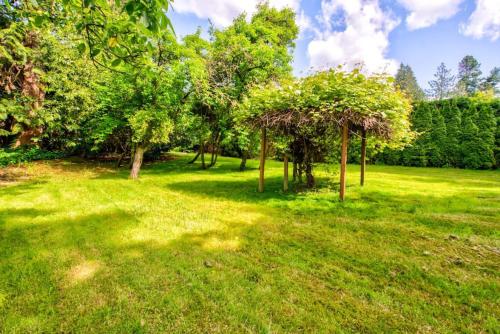 a group of trees in a grass field at Private park in a cozy home next to I-90 huge yard in Mercer Island
