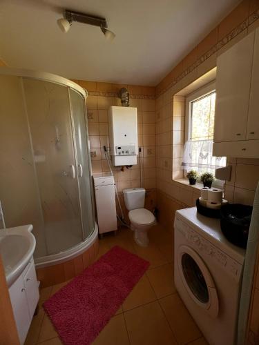 a bathroom with a toilet and a shower and a sink at Malinowa Chatka Mostki in Mostki