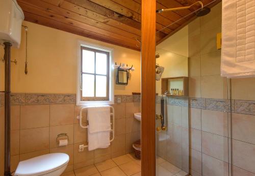 a bathroom with a toilet and a sink at Vineyard Cottages - Kumeu in Waimauku