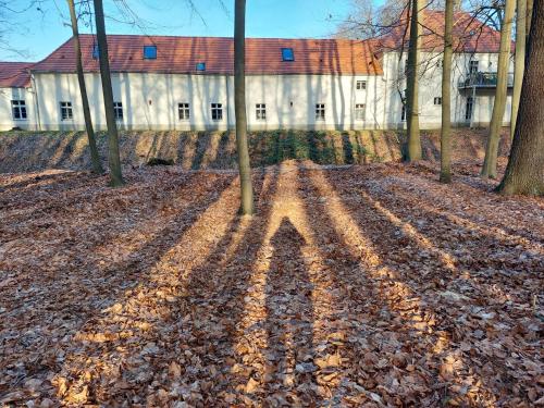 a pile of leaves on the ground in front of a building at Gästehaus Vergissmeinnicht in Guteborn