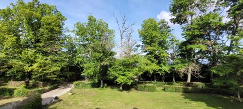 un parc avec des arbres et de l'herbe et un chemin dans l'établissement Le Manoir de Sonnac, à La Cresse