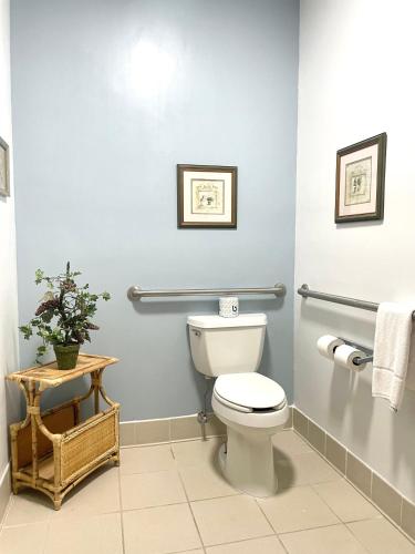 a bathroom with a white toilet in a room at Grand Vista Hotel & Suites in Vonore