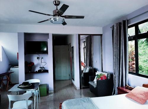 a bedroom with a bed and a ceiling fan at Anne Hillside Apartment in Victoria