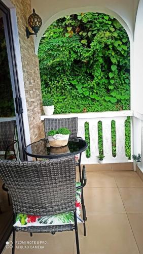 a table and chairs on a porch with a green wall at Anne Hillside Apartment in Victoria