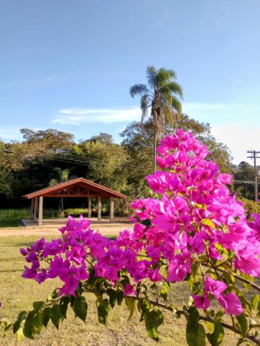 a bush of pink flowers with a gazebo in the background at Cabanas Privativas com Jacuzzi, Cozinha, Churrasqueira e Decoração - Sitio Pauletto in Jarinu