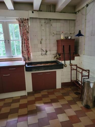 a kitchen with a sink and a counter in a room at Zuidewijn in Sprang-Capelle
