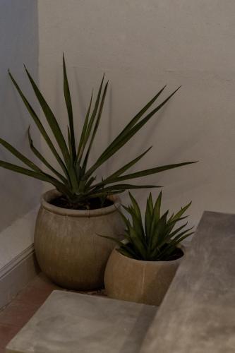 Φωτογραφία από το άλμπουμ του Narrativ Lofts σε Campeche
