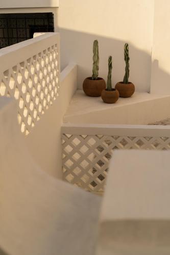 Φωτογραφία από το άλμπουμ του Narrativ Lofts σε Campeche
