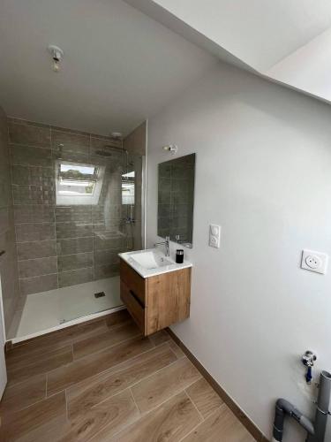 une salle de bain avec un lavabo et une douche dans l'établissement STUDIO BORD DE MER LOMENER, à Ploemeur
