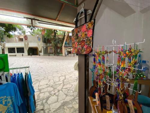 Φωτογραφία από το άλμπουμ του Casa SaQua Residencia Palenque σε Palenque