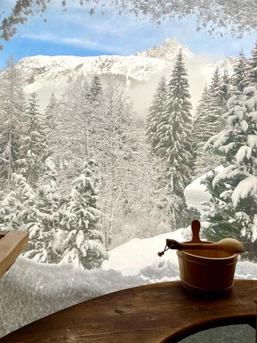Marmotte Mountain Retreat