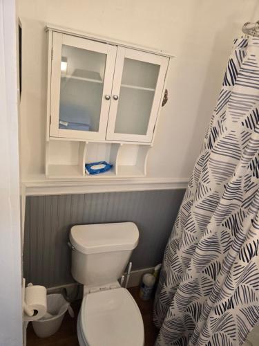 a bathroom with a toilet and a shower curtain at Unit 1 at Oilgate at Oakdale in Akron