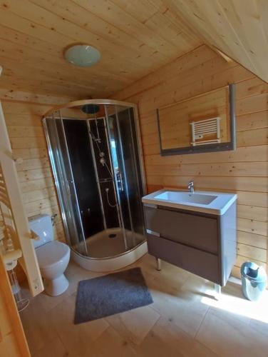 une salle de bain avec une douche, un lavabo et des toilettes dans l'établissement Maison de charme 12 pers piscine hors-sol chauffée, à Saint-Cybranet