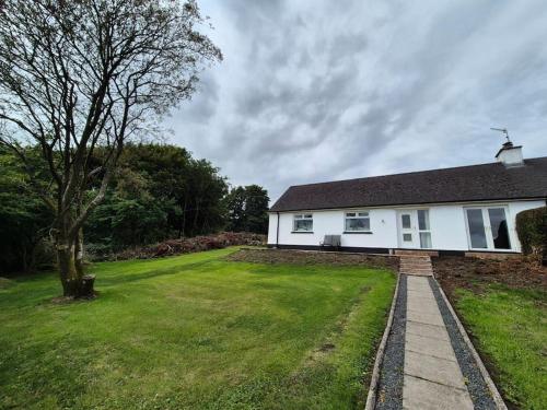 a white house with a grass yard and a tree at Bracken Cottage in Ballyeaston