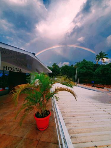 a rainbow in the sky over a building with a plant at Hostal Sunset Town in Ahuachapán