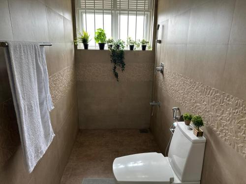 a bathroom with a toilet and a window and potted plants at Spacious Eco House with Garden and Scenic Paddy View Colombo in Malabe