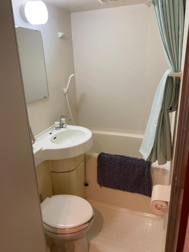 a small bathroom with a toilet and a sink at カナリアンホテル in Tateshina