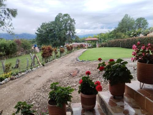 a garden with flowers in pots on a dirt road at Hotel Cabañas y Glamping Colinas De San Diego in San Agustín
