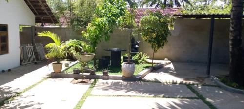 a courtyard with plants and a fence at Gray house up in Weligama