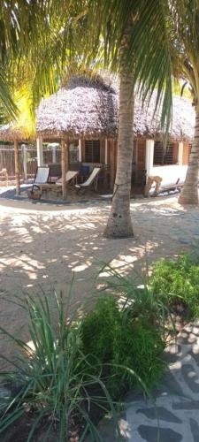 En have udenfor Ravoravo beach house Nosy Be-Atanfondro