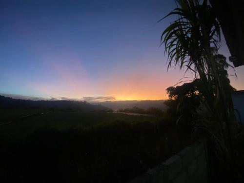 a sunset over a field with a tree in the foreground at Mount Batur Homestay in Kubupenlokan
