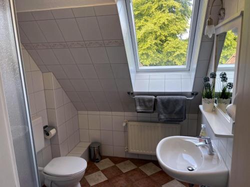 a bathroom with a sink and a toilet and a window at Studio in Dargun mit Pool am Kummerower See in Barlin