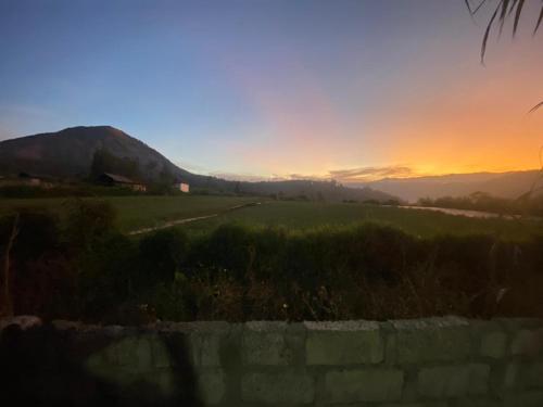 a sunset over a green field with the mountains in the background at Mount Batur Homestay in Kubupenlokan