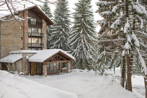 a house in the snow with snow covered trees at Ana Hotels Bradul Poiana Brasov in Poiana Brasov