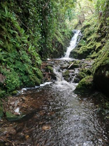 a waterfall in the middle of a stream at Gleann Loic Farmhouse in Dingle