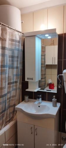 Et badeværelse på Apartman LENA