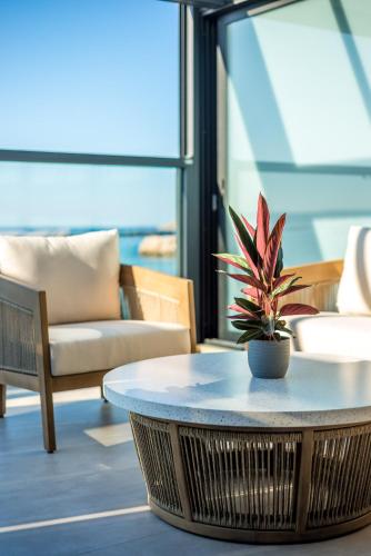 a potted plant sitting on a table in a room at Seagull Luxury Apartment Next To The Sea - BY APOKORNAS VILLAS in Almirida