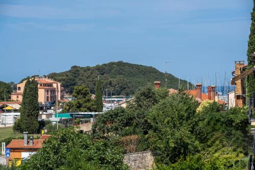 a city with a mountain in the background at Apartment Vala Vrsar in Vrsar