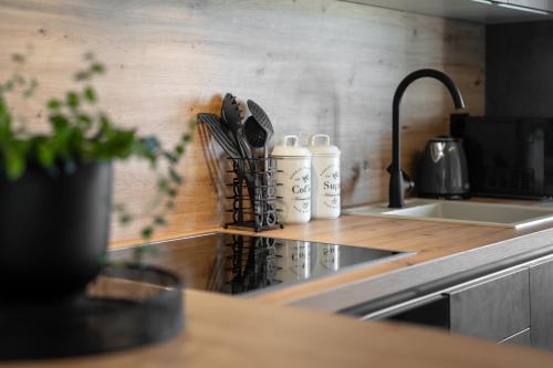 a kitchen counter with utensils and a sink at Apartment Vala Vrsar in Vrsar