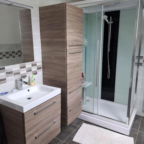 a bathroom with a sink and a shower at Grande maison au coeur de la Bretagne in Huelgoat
