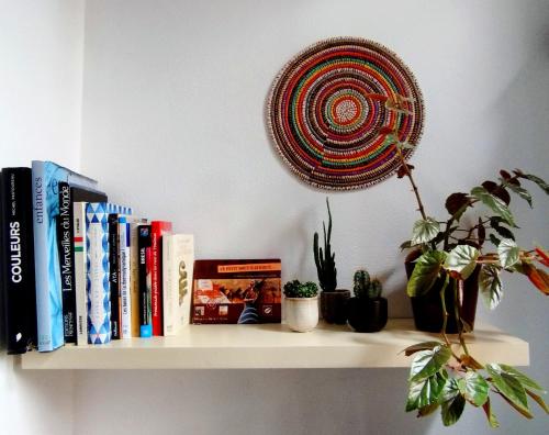 une étagère avec des livres et des plantes sur un mur dans l'établissement La casa del mundo, à Toulouse