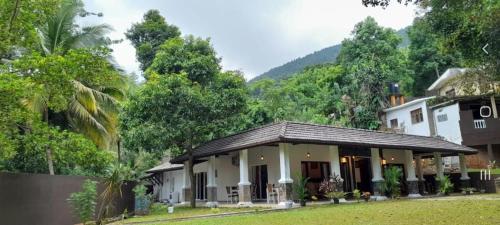 a house in the middle of a forest at Villa D55 in Kandy