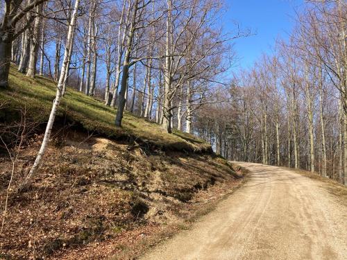 a dirt road with trees on the side of a hill at Tyllichova Chata in Hejnice