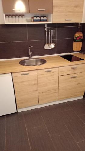a kitchen with a sink and wooden cabinets at Apartman ISPOD DUGE LANA in Zlatibor