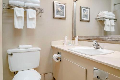 Ένα μπάνιο στο Quality Inn & Suites Monroe