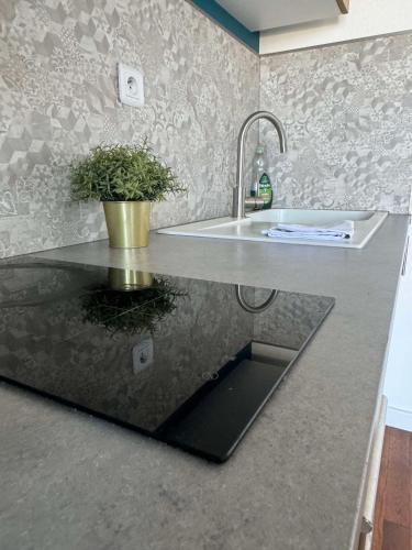un comptoir de cuisine avec un évier et une plante en pot dans l'établissement Le Jean Jaurès - Vue imprenable sur la Saône, à Mâcon