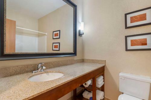 Koupelna v ubytování Comfort Suites McKinney-Allen