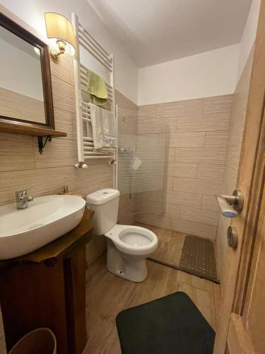 a bathroom with a white toilet and a sink at MOGA House in Tîrnăveni